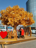 IMG 20240130 133145