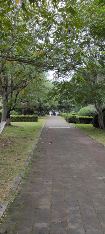 IMG 20240910 081946