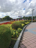 Photo 1730766593535