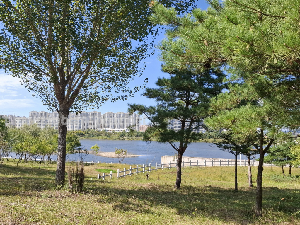 Photo 1731468636734