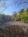 Photo 1731570481677
