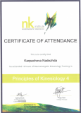 Принципы кинезиологии 4