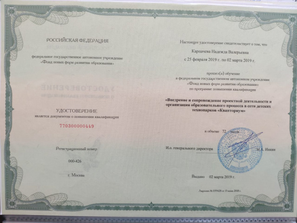 Внедрение и сопровождение проектной деятельности