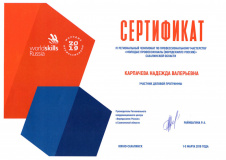 Ворлд скилз 2019