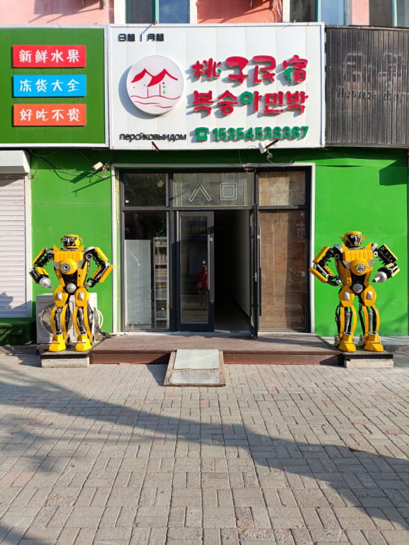 IMG 20250514 060316