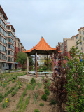 IMG 20250514 144045
