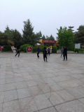 IMG 20250516 061957