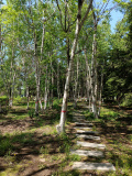 IMG 20250516 095440