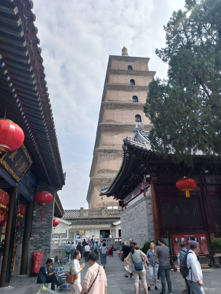 IMG 20250526 095305
