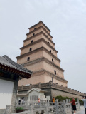 IMG 20250526 102344