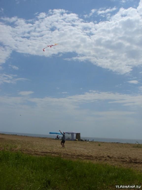 DSC03217