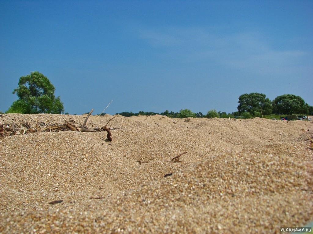 IMG 0231