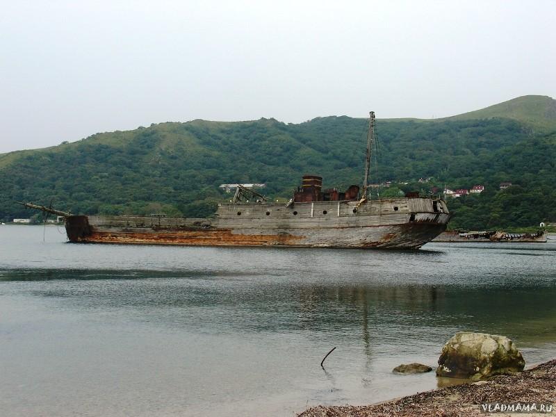 DSC02488