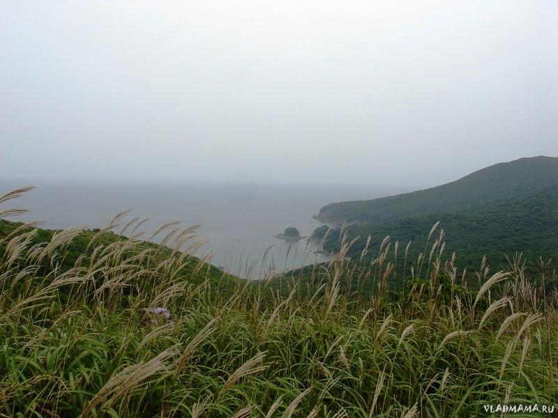 DSC02500