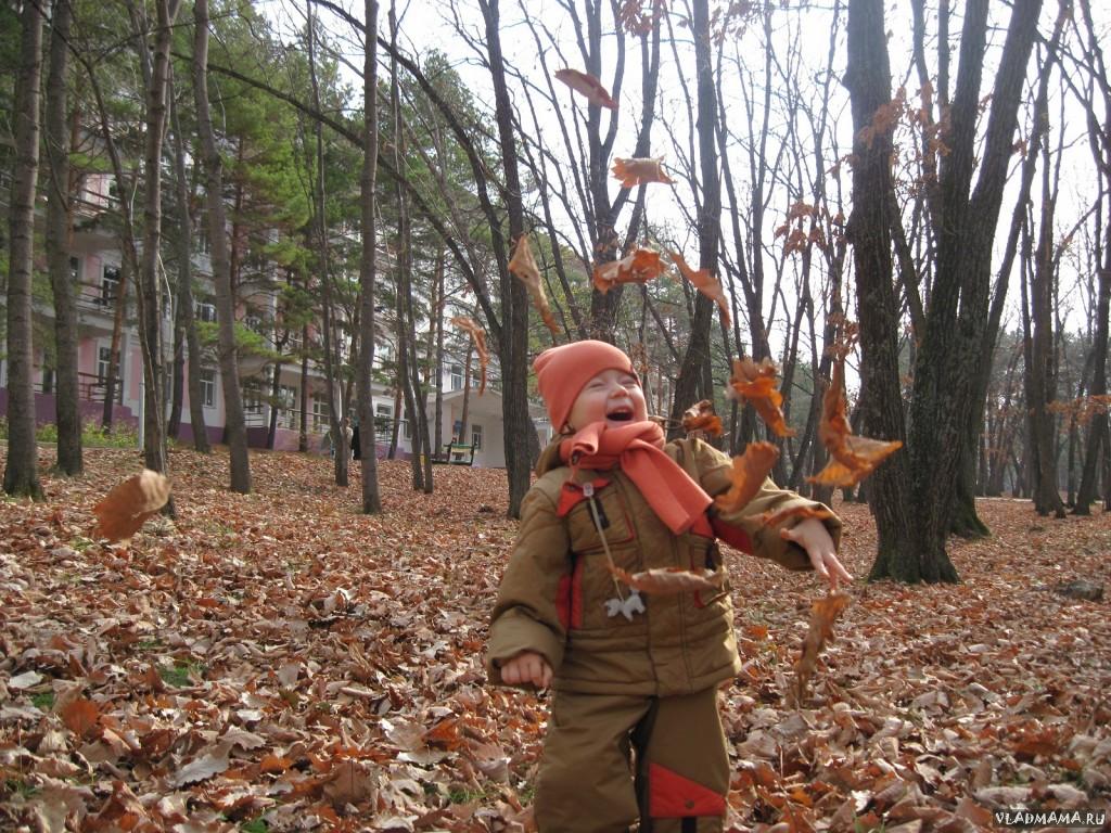 Листопад