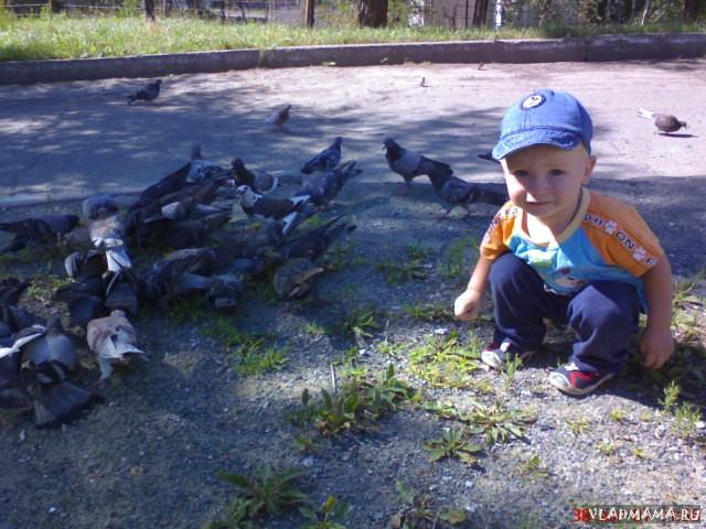 Гулей гормим))