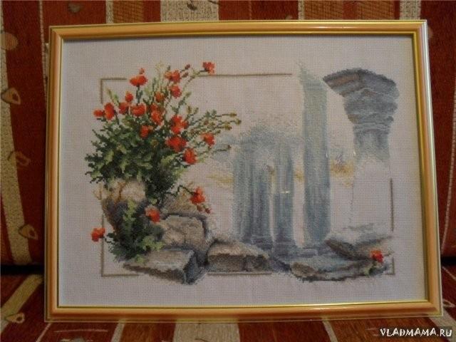 Маки Херсонеса