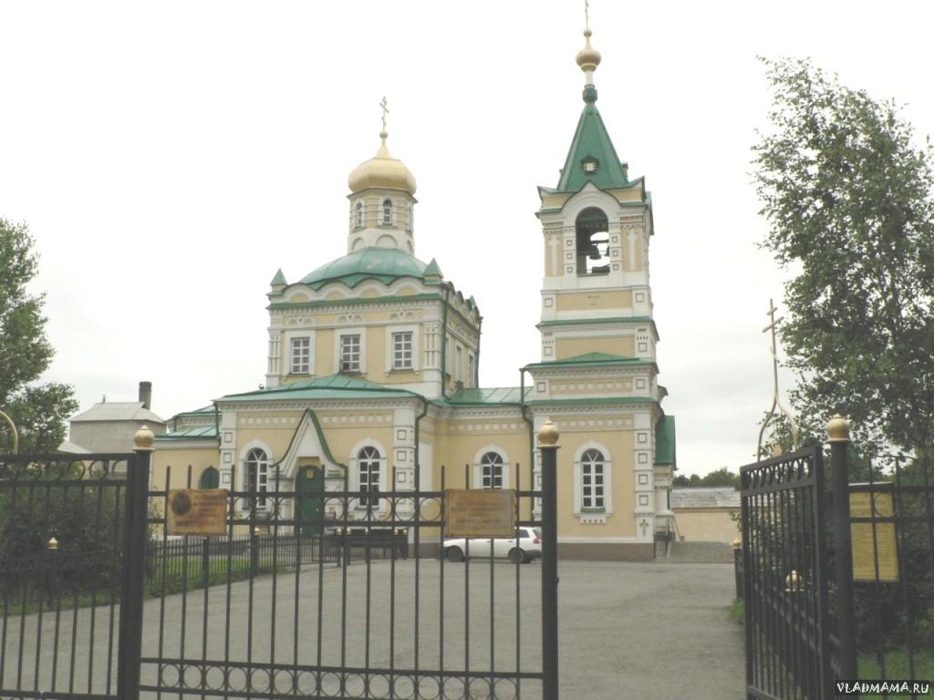 Ирина Таран
