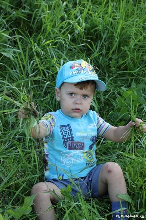 Матюша, Август