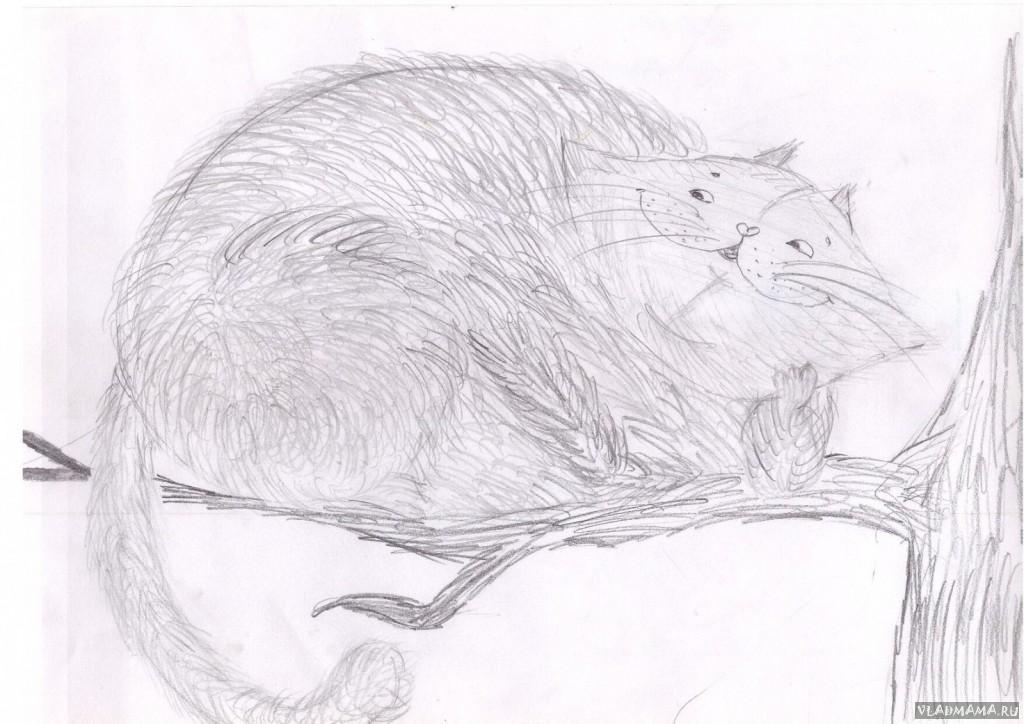 Чеширский кот