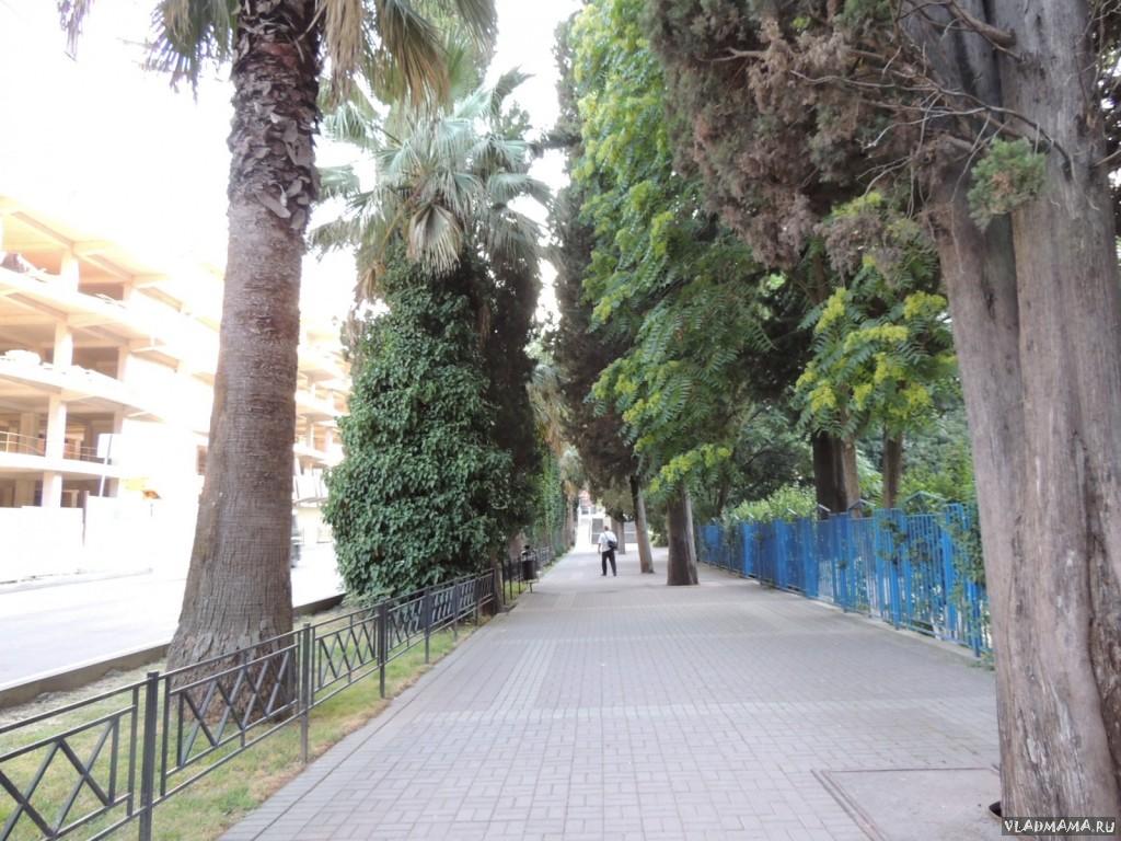DSCN1262