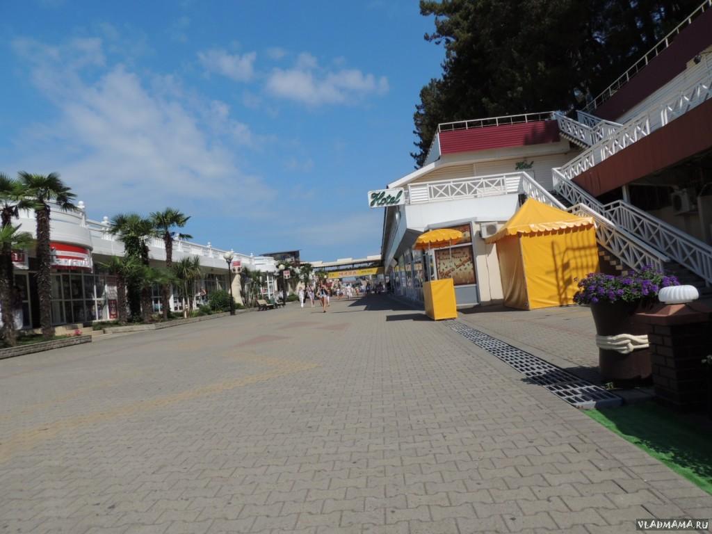 DSCN1294