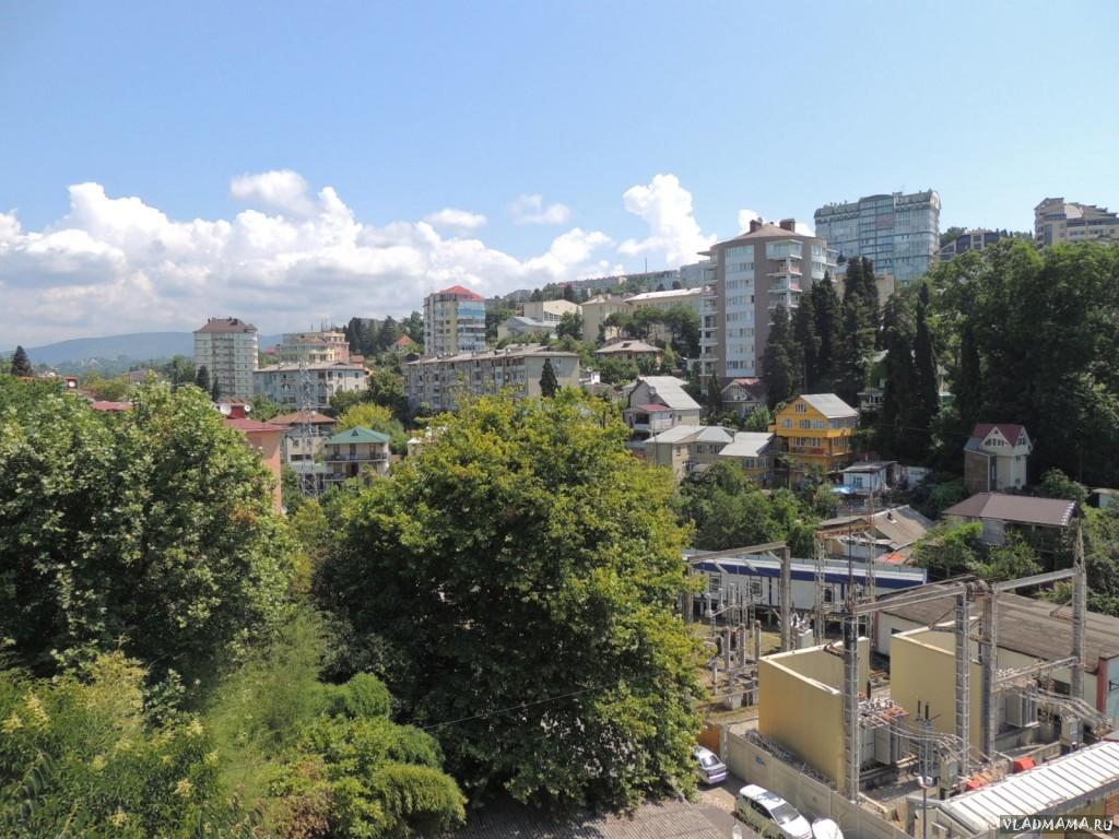 DSCN1351