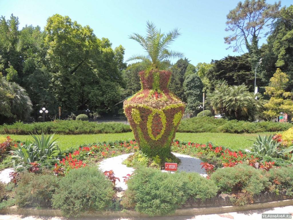 DSCN1365