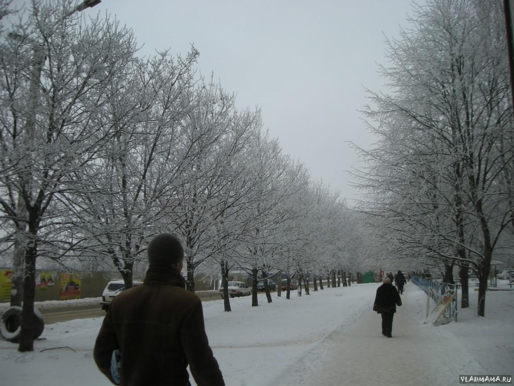 DSCN0079
