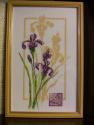 iris