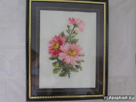 IMG 0769