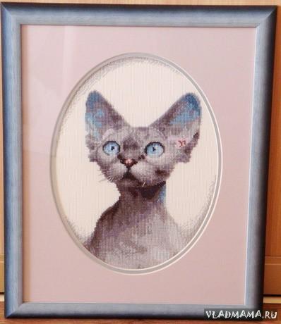 Сиамская кошка