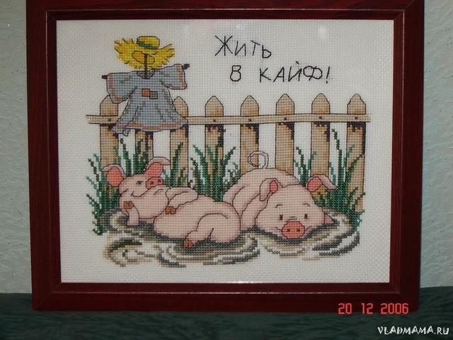 Жить в кайф