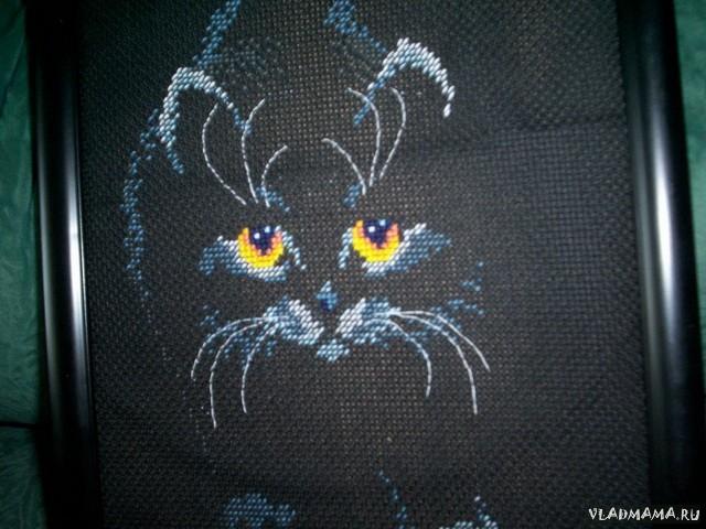 кошачьи глазки