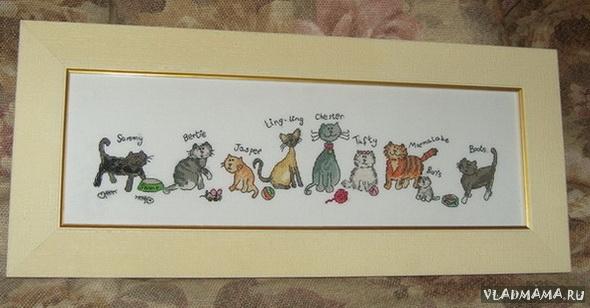 Кошки