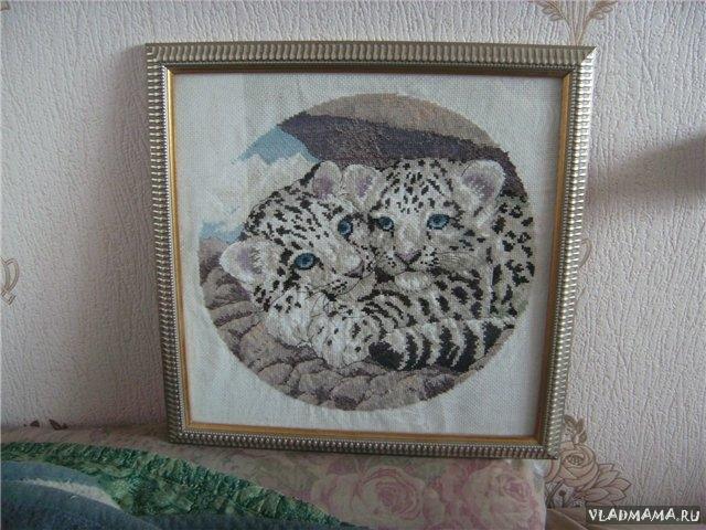 Леопарды