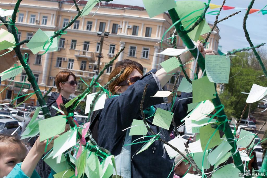 Изумрудный город (83)
