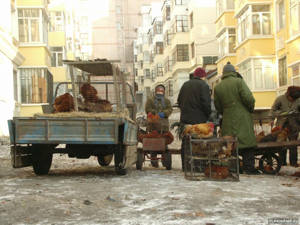Суйфэньхэ: вчера, сегодня, завтра