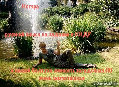 №48 Котяра