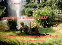 №48 Котяра