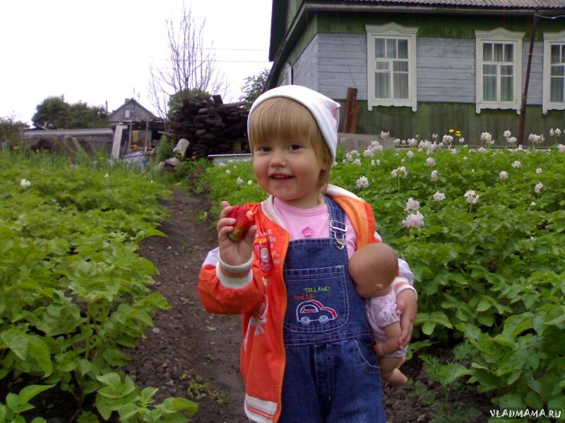 зуец