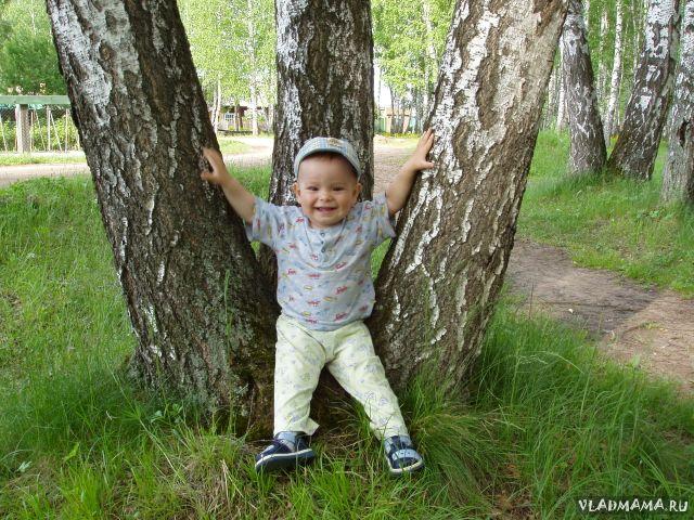 Тигруля