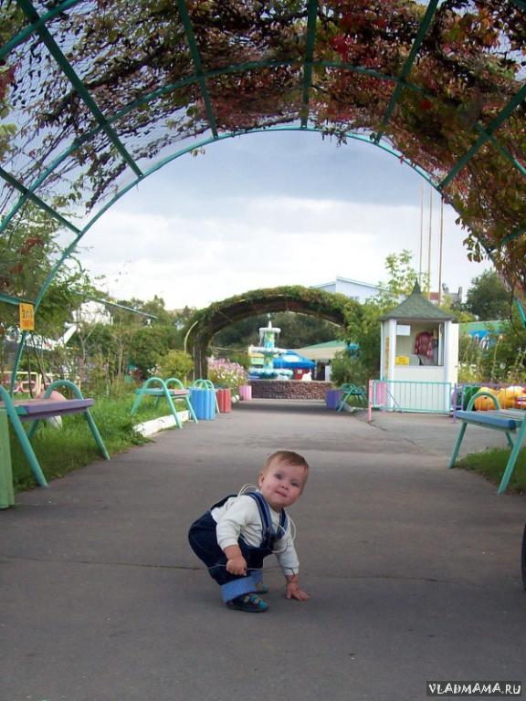 Лайф Лайн