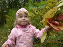 DArisha