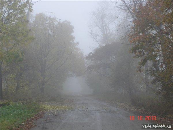 DenNik