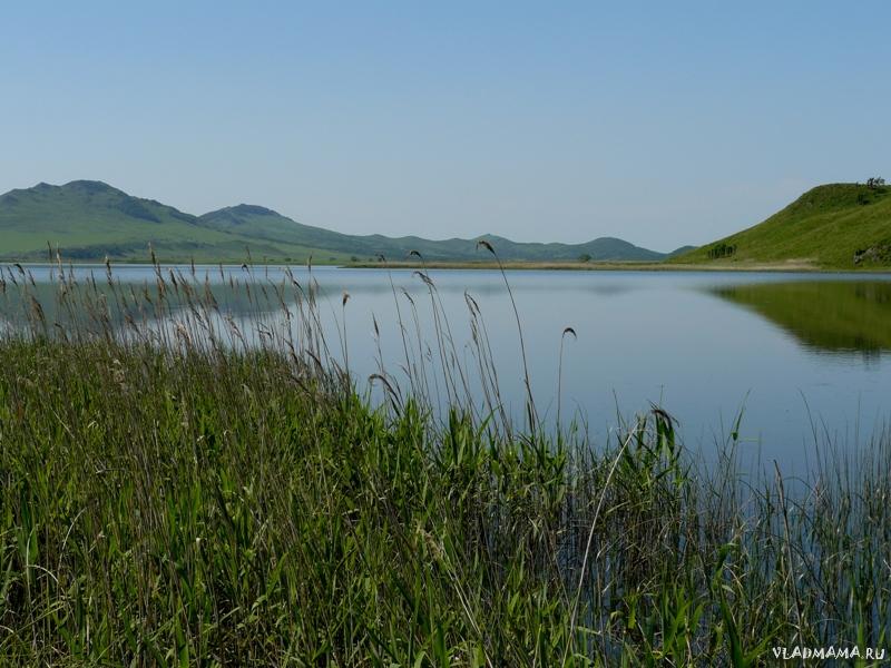№41 Tamaravvo