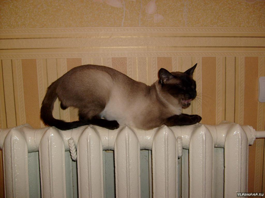 №13  Зимняя