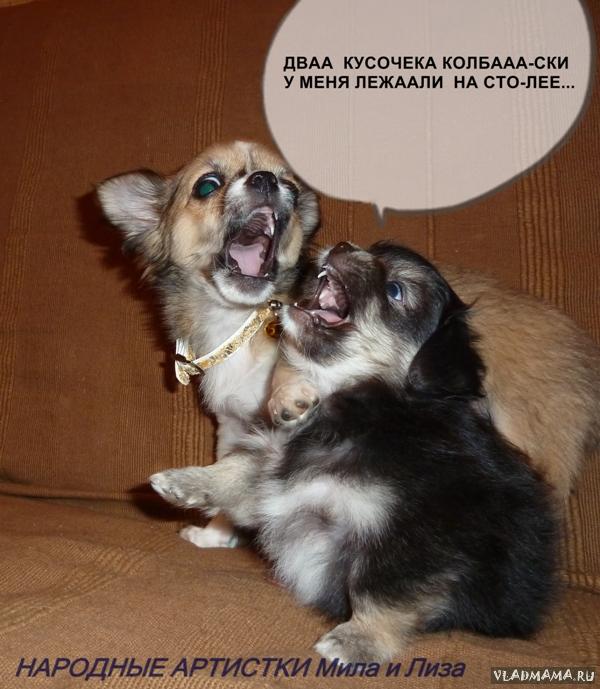 №57 DETKA
