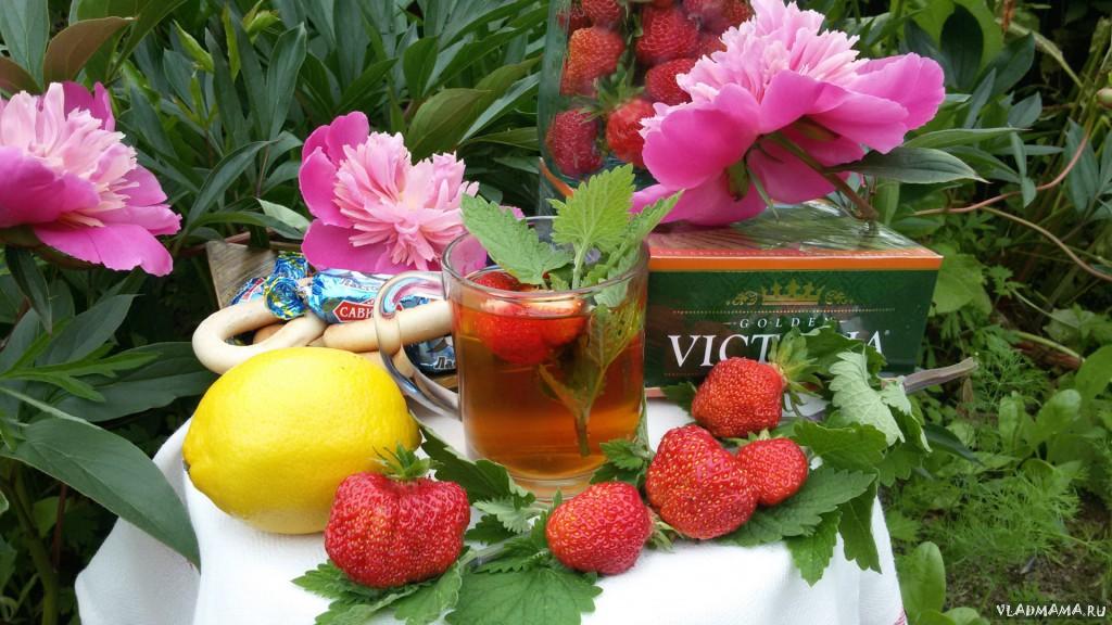 Summer Tea (Летний Чай)