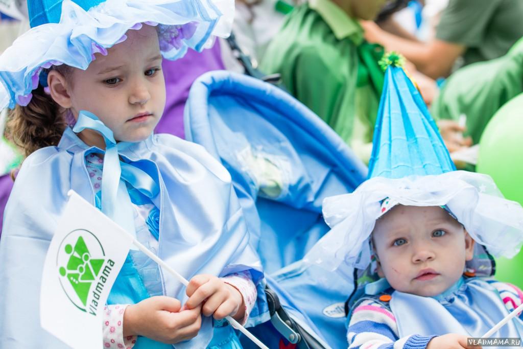 Праздничное шествие — 2015 (83)